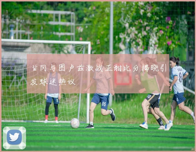 甘冈与图卢兹激战正酣比分揭晓引发球迷热议