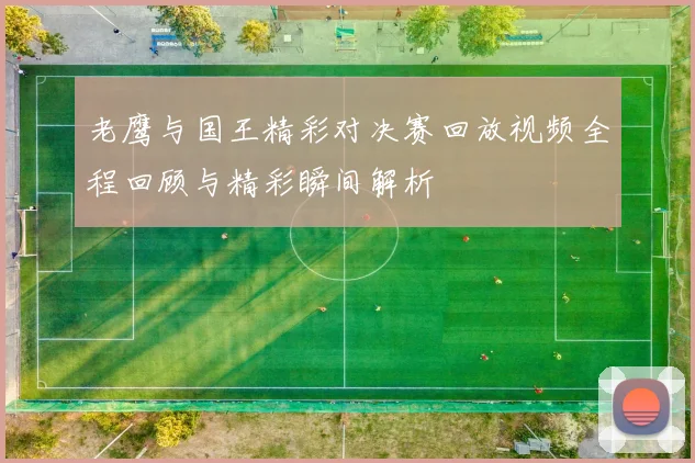 老鹰与国王精彩对决赛回放视频全程回顾与精彩瞬间解析