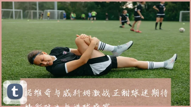 诺维奇与威科姆激战正酣球迷期待精彩对决与进球盛宴